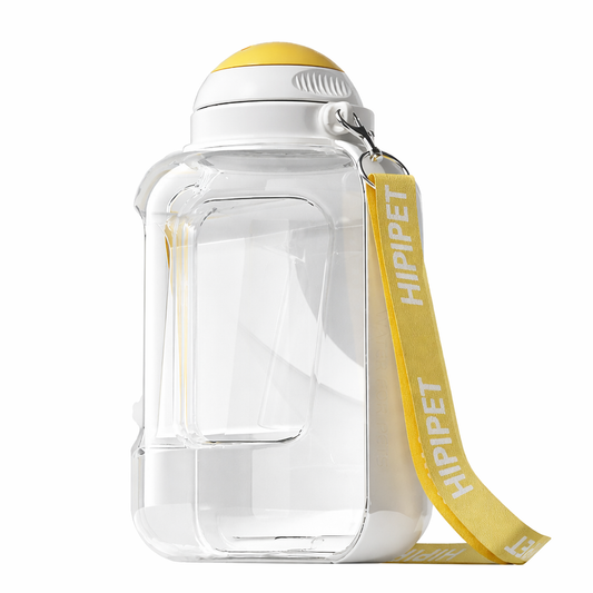 dog water bottle held in hand during walk