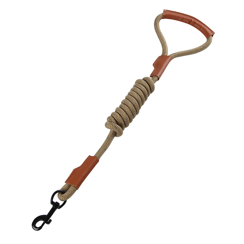 reflective dog leash for safe night walking