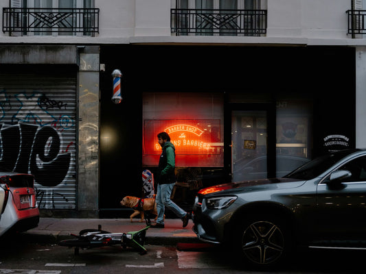 dog walking on leash during low-light early morning walk