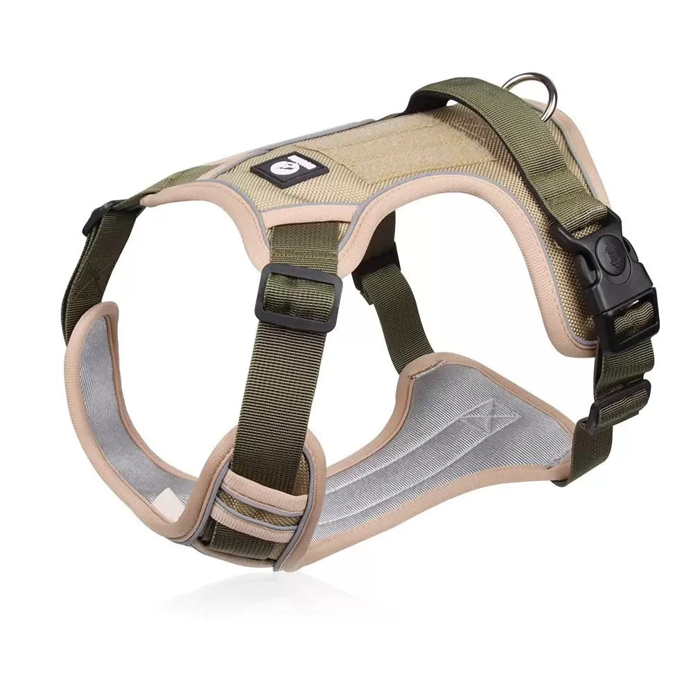 adjustable dog harness for a comfortable fit