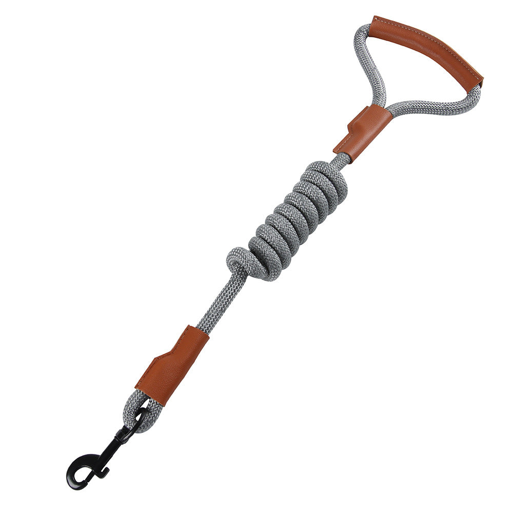 reflective dog leash for safe night walking